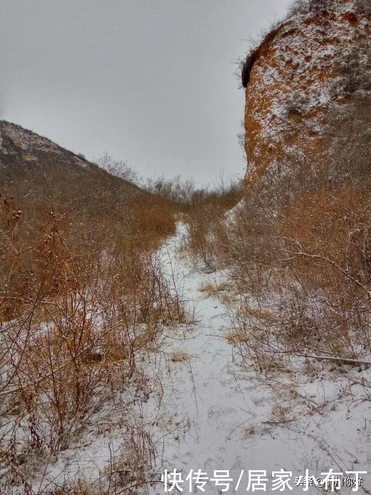 沙漠水：初春的小雪