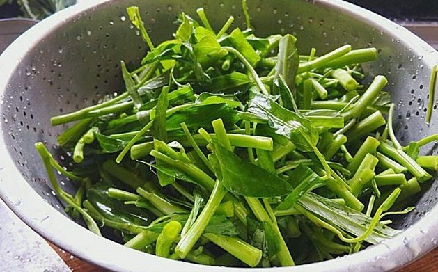 焯水|空心菜怎么炒才不发黑记住不要洗了就炒,多做一步,翠绿不出水