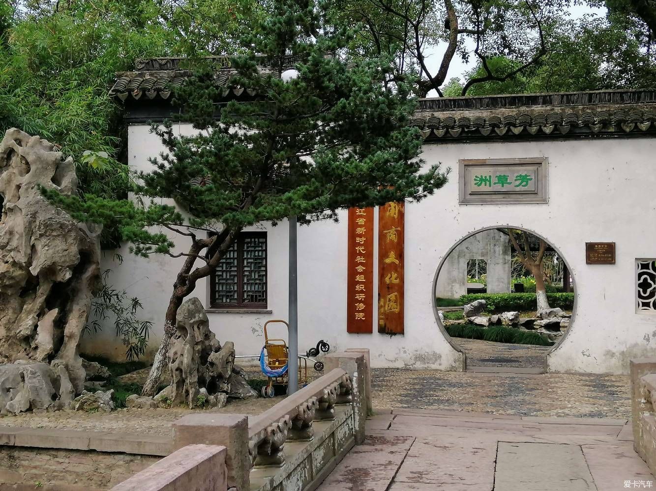 地标|晨游月湖园，误撞童槐家