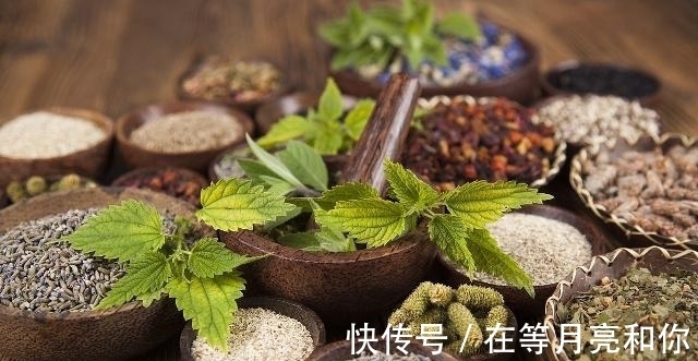 慎用|中药也会伤肝？多讲一句：这4种常见中药可能要慎用