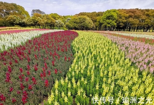 思念|下半年，桃花盛开，深情不减，思念未央，冰释前嫌，再不会相见