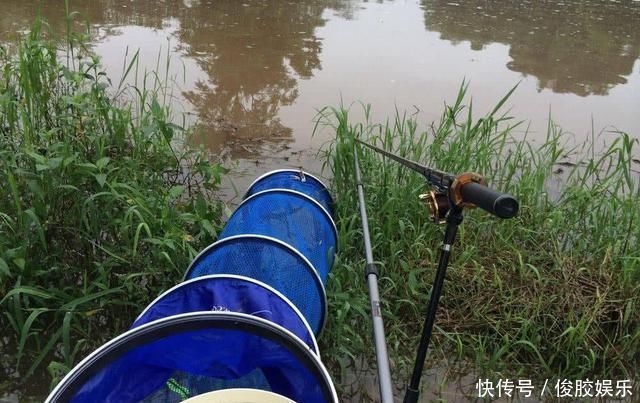 野钓不上鱼那是因为用饵不对,我从三个方面,分享几种钓饵