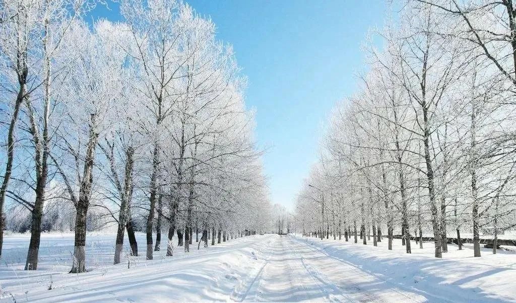 时节|又到冰雪时节