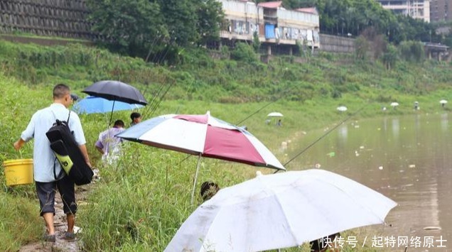 近岸|秋分前后钓鱼,想爆护一点都不难,老钓手都爱这样钓,你也可以