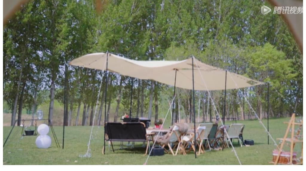 节目|因为一个神秘人的存在，这档收视率越来越高的综艺注定尴尬到收官