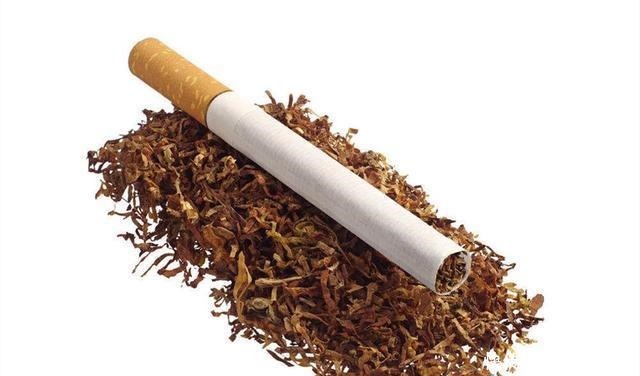 家长|曾经一天40根烟的2岁男孩,如今过去8年了,他的生活如何了!