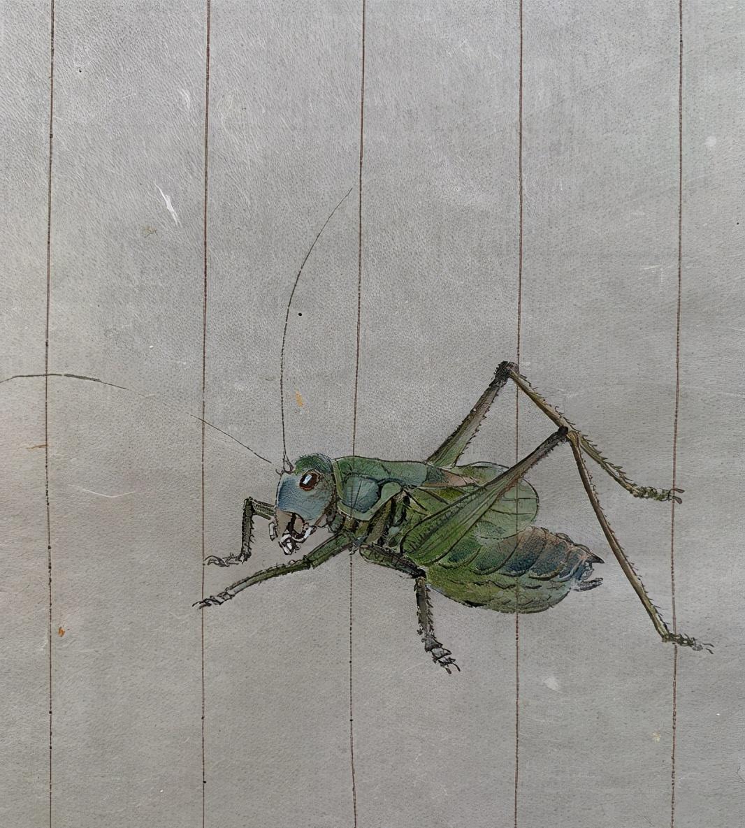 夏哈哈|夏雨:和女儿在家PK画蚂蚱,爷俩画工了得袁泉自动退出只好当裁判