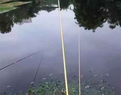 冬季巧用漂,鱼获不会少,冬季野钓最实用的调漂技巧