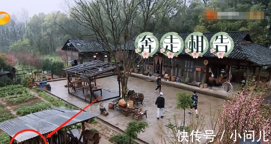 湖南衛(wèi)視|《向往5》開(kāi)播,黃磊長(zhǎng)胖,我卻只留意到他對(duì)彭昱暢的稱呼變化