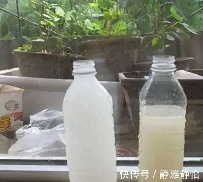 柠檬酸|花盆里长出“白碱”不是好事,对花草危害大,学会这5个处理方法