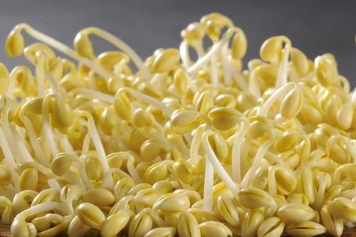 睡眠质量|吃大葱对睡眠不好?医生:无知,不想常常失眠,4种食物尽量别吃