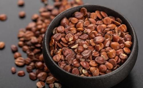 多人误区：失眠，到底用生枣仁还是用炒枣仁