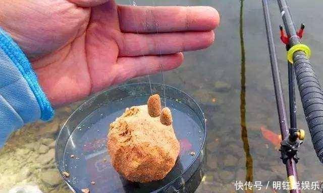 钓鱼饵料这样搭配,有助于提高上鱼频率