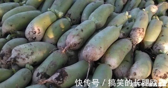 安伦|吃一斤它,相当于吃3斤牛肉,5斤猪肝,才8毛钱一斤,蒸着吃最香
