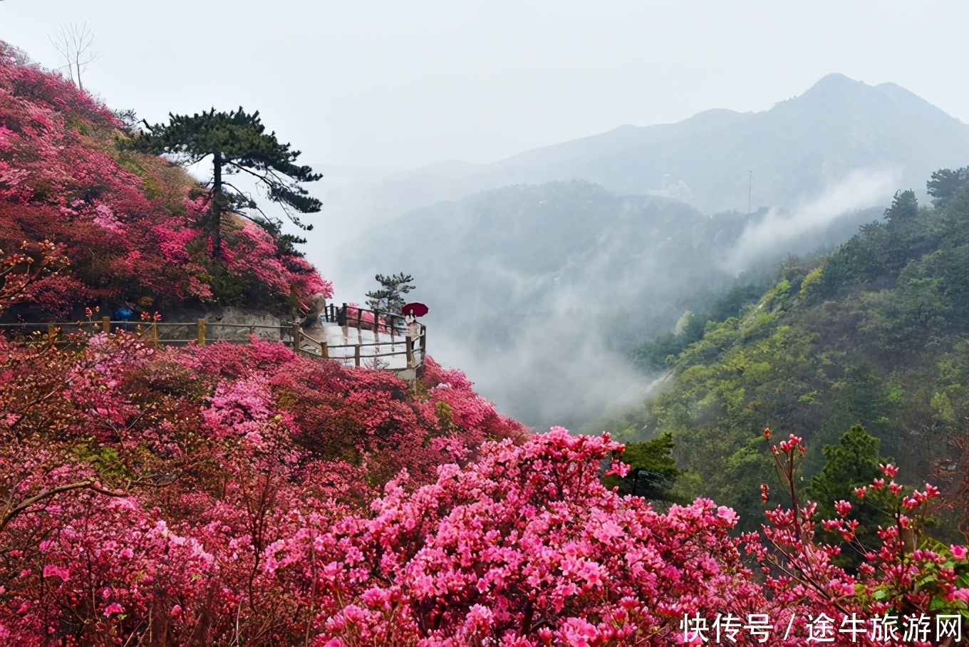 木兰云雾山，赏花海，住房车营地