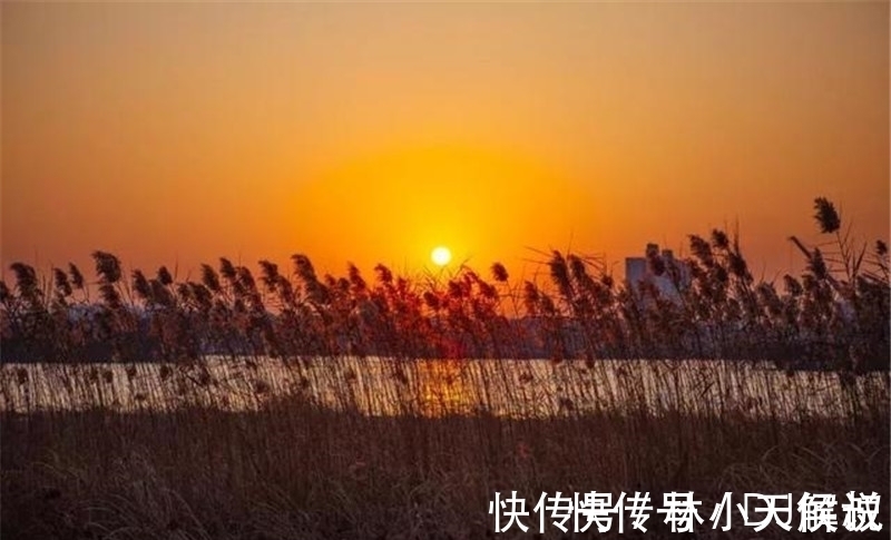 秋景!寒露,在诗词中感受凉凉的秋意,赏析范仲淹的千古名篇《苏幕遮》