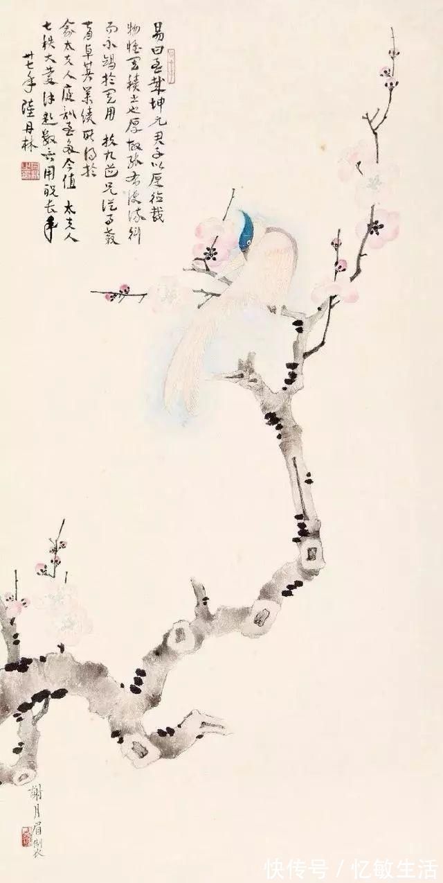 花鸟!她凭天赋自学书画,画画不到20年,却堪称“花鸟圣手”,成为一代传奇