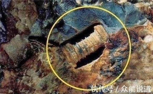 门德洛夫|渔民捡到奇石,镶嵌2.5亿年前“芯片”,史前真的存在高等文明?