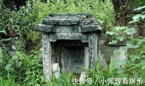 盗墓者|为什么盗墓贼一看见栽有柳树的古墓扭头就走?不走就来不及了