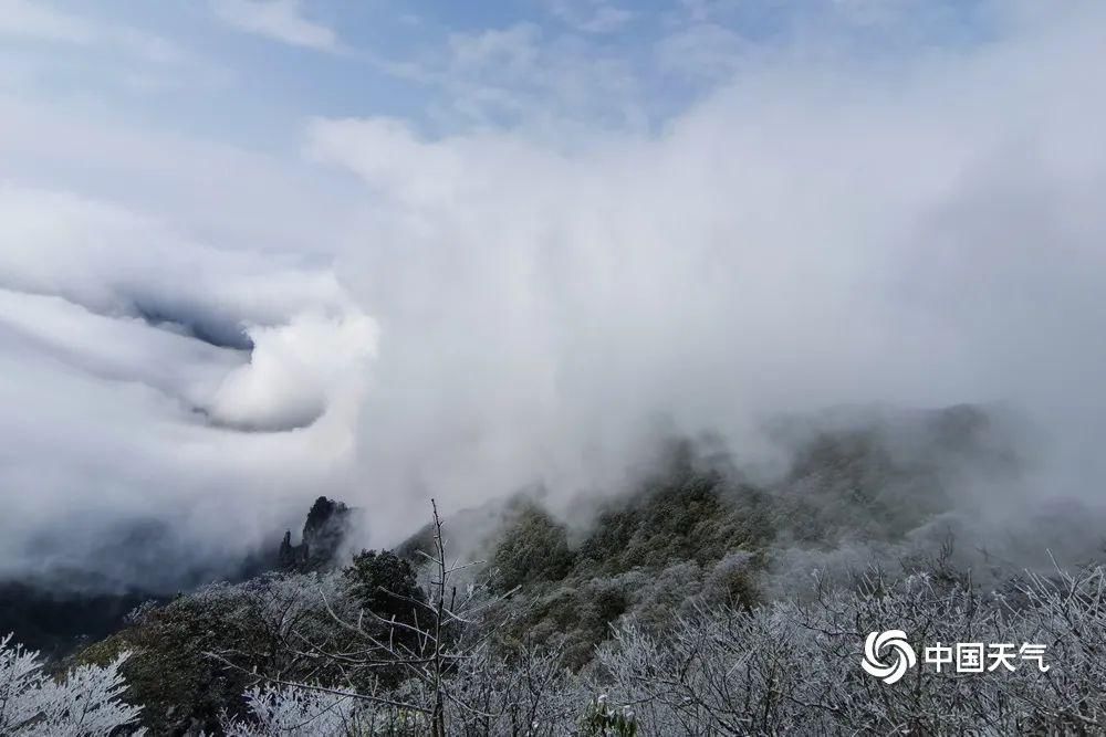 【天气奇观】梵净山惊现瀑布云海