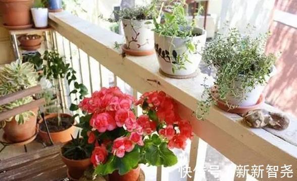 阳台上|发现楼上“乱装修”,别再留情面,不然等入住后你家会被“坑”!