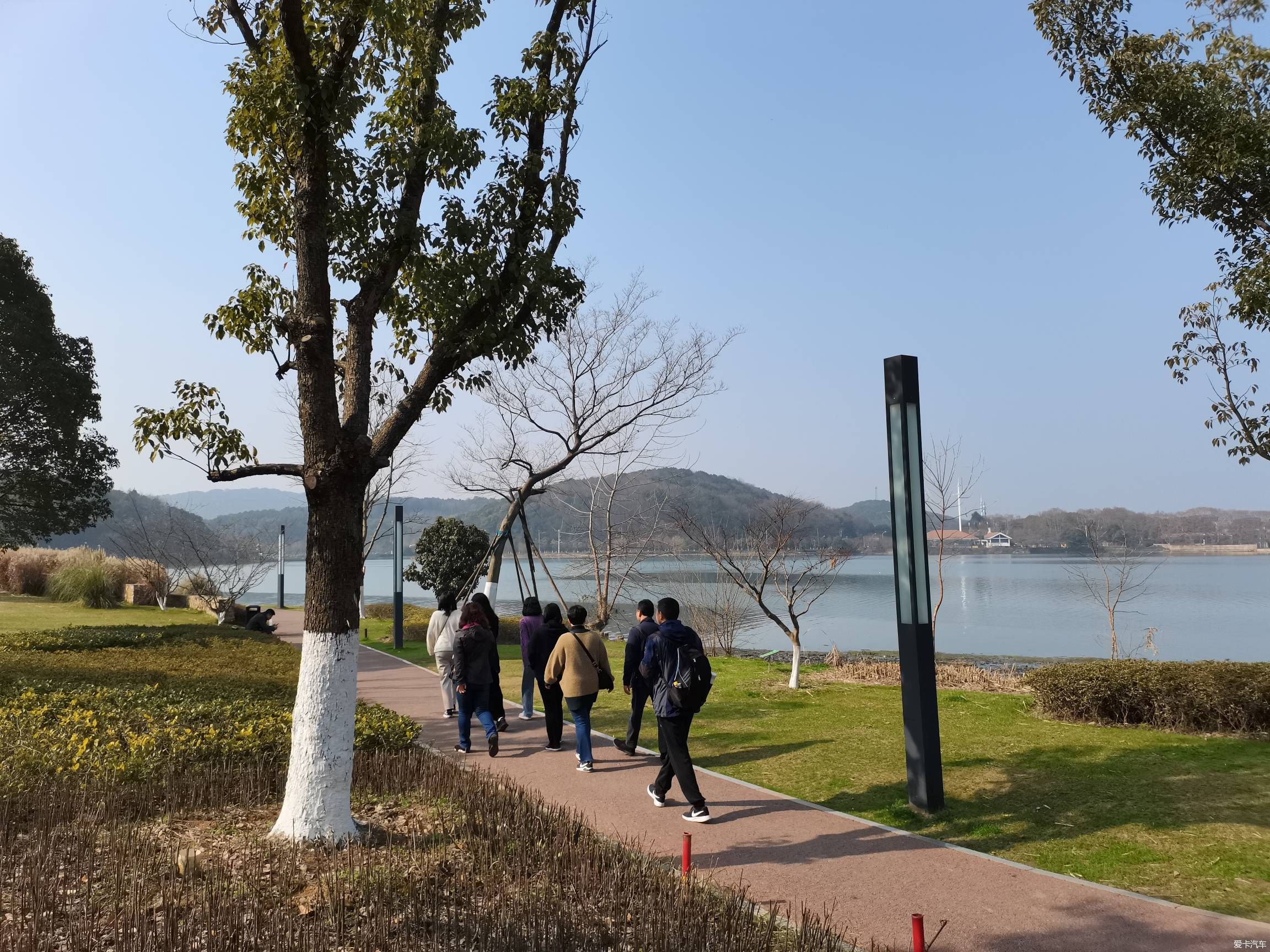 情人节逛森林公园