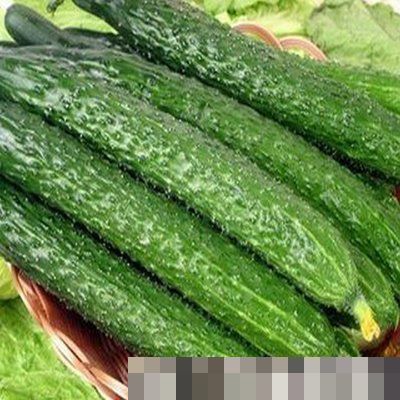 诱发|黄瓜炒这个没病也得病,等于在吃“毒”,很多人还不了解