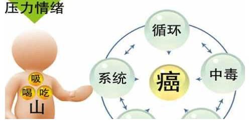 癌细胞|癌症“克星”被揪出,每天吃一口,排出大量致癌物,癌症“也认怂”!