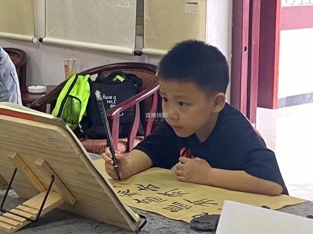 安州|7000人参与 3万人受益 安州桑枣翰墨飘香