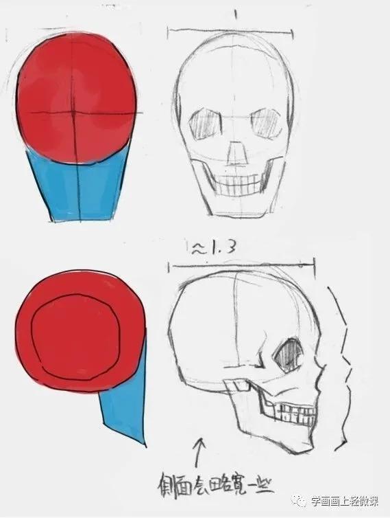 教程|人物头部绘法教程,练起来!