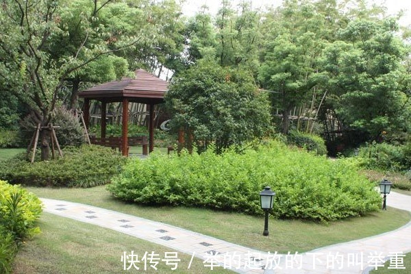 电梯|电梯房应该选几楼最合适其实很简单，购买时要避开以下几层！