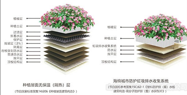 虹吸排水系统
