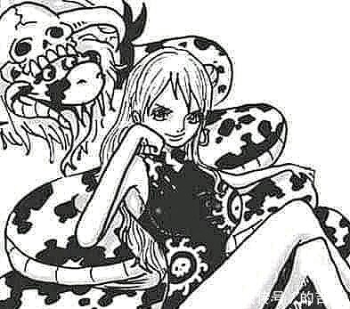 cos|草帽全员cos七武海,谁更适合女帝这个角色甚平的“肚兜”出戏