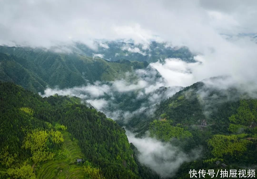 丽水|最想去的地方丨逃离酷暑 就来丽水这些天然“空调房”避暑