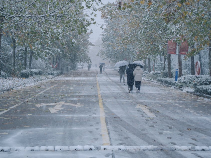 冬雪|山传初雪，许你一场深情共白头