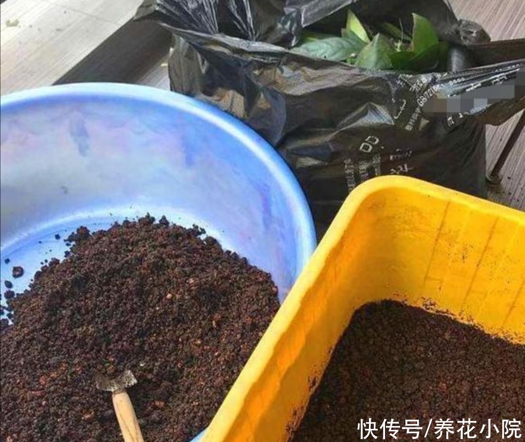 花土|养花不用买营养土，外面捡几种材料掺一起，养啥花都旺