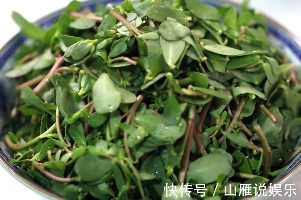 喂猪|农村里村民拿来喂猪的野菜,其实是白发的“克星”,白发悄悄变黑