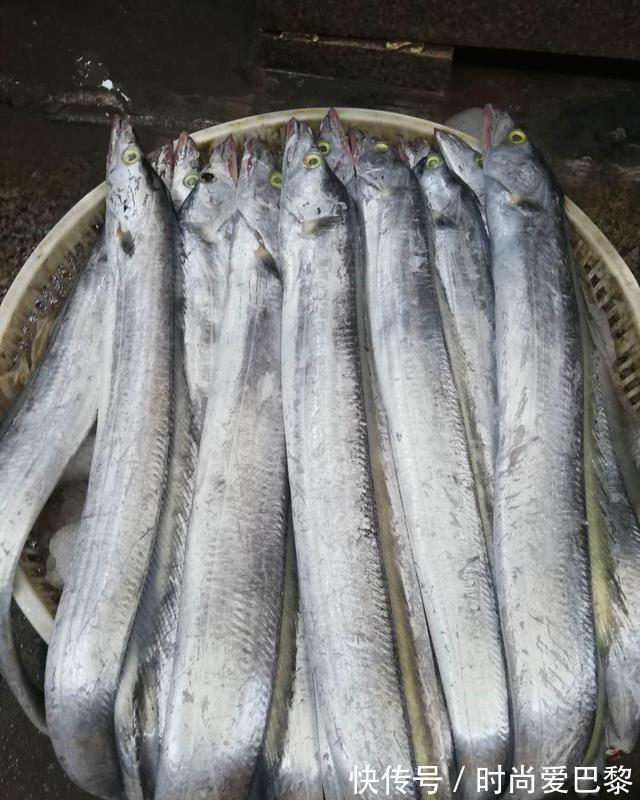 石油|这4种鱼尽量少吃,或含有甲醛和重金属,不妨来了解一下