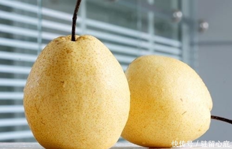 梨子好吃又可口,而且还能止咳化痰!