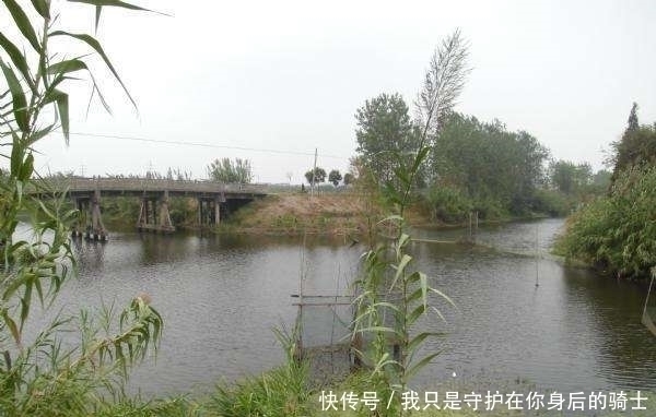 发现无人野塘，用了这个饵料，意外钓获十七斤大鲫鱼