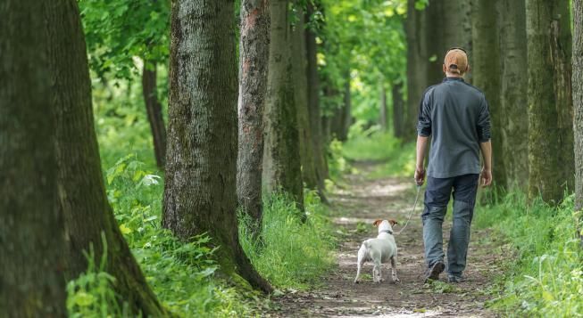 黄金|养生专家:饭后半小时养生黄金期,坚持好习惯,长寿或向你招手