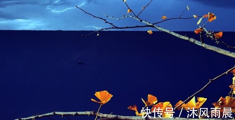 诗词|两首醉酒诗词,一首洒脱飘逸,一首豪放不羁,你更喜欢哪一首