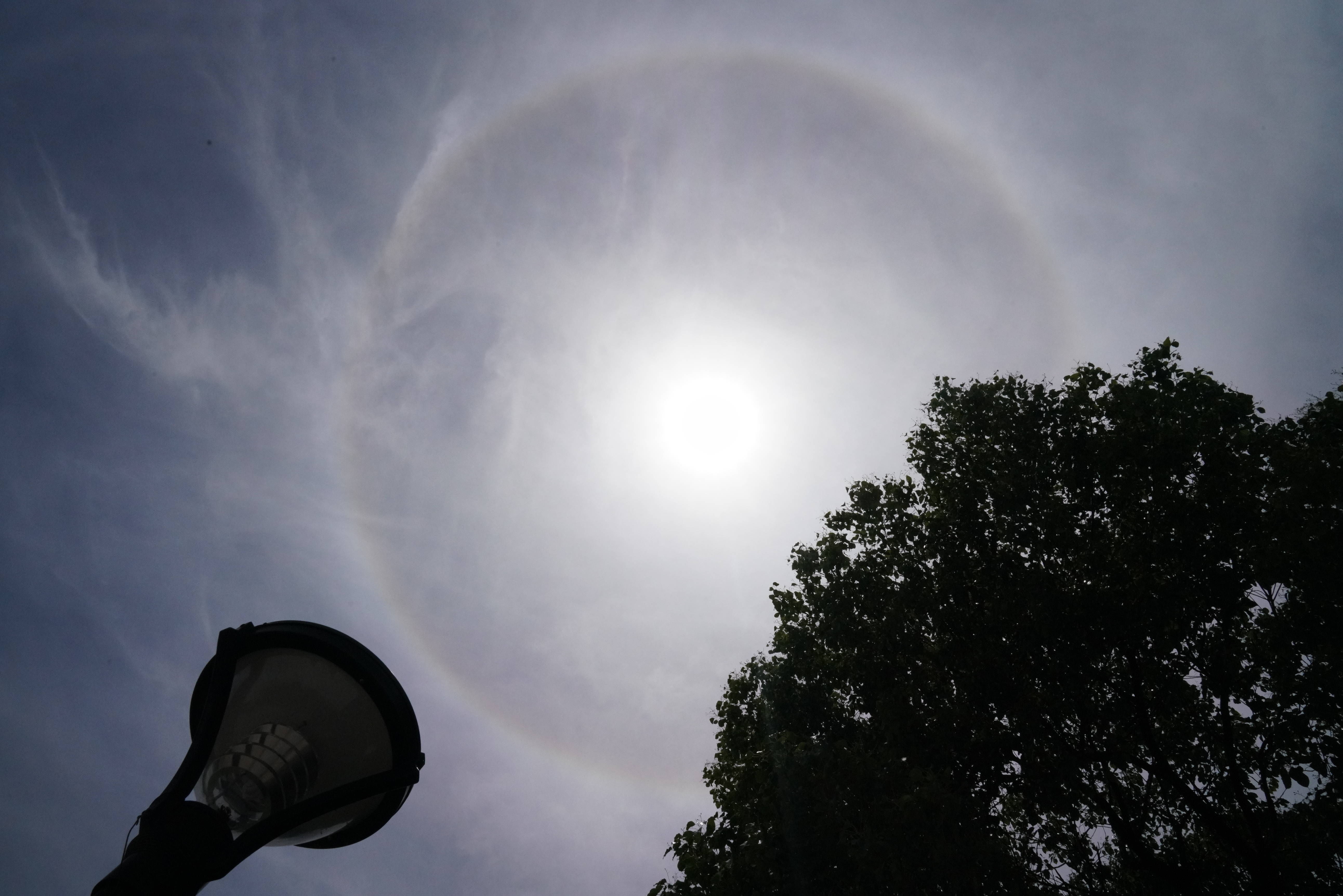 三棱镜 抬头看！桐乡上演日晕奇观！预示着……