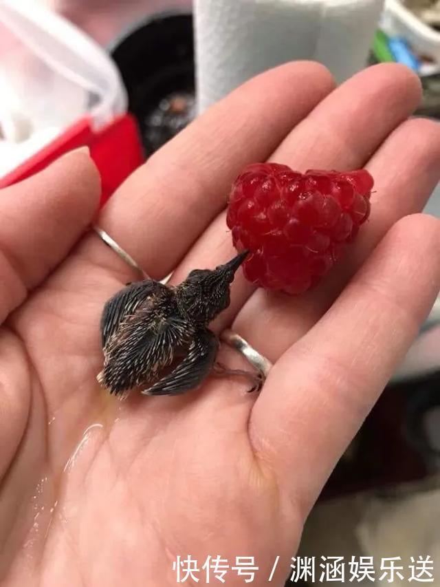 25张不可思议的对比图,你可能一张都没见过!