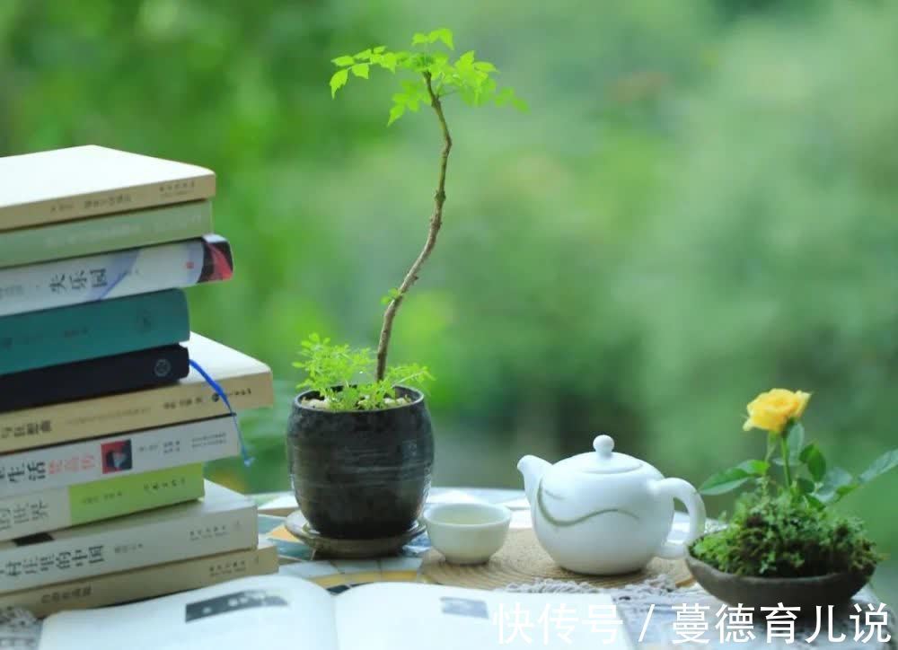 菊花茶|做人16贵,贵在善良;生活16好,好在心态