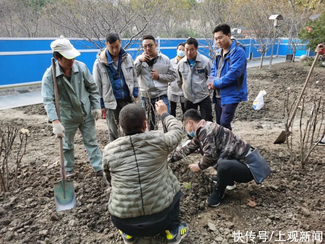 春天|来年春天看“国花”不用去洛阳！洛阳牡丹人民公园“安家”