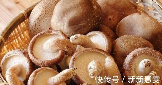 干百合|女性进入更年期,5种食物经常吃,助你养护卵巢,更显年轻!