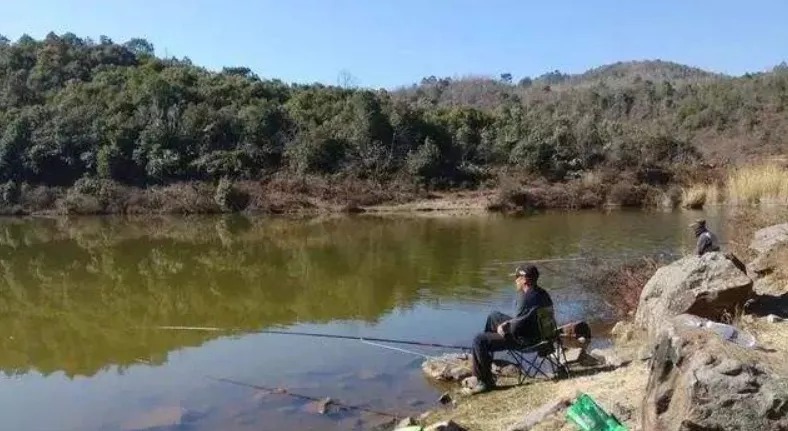 鲫鱼|冬天鱼往深水跑，教你一套黄金钓法，多冷都能钓斤鲫