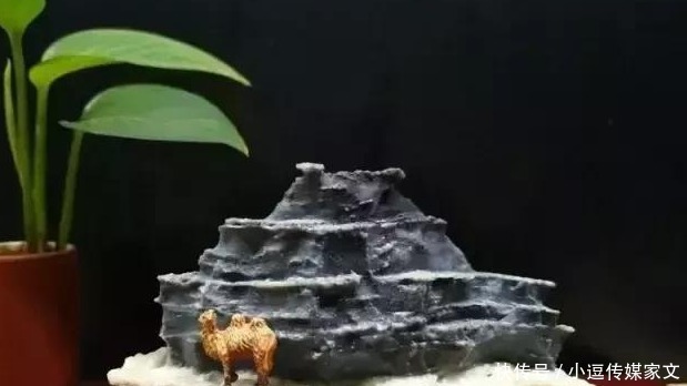 这9种的石头一定要带回家