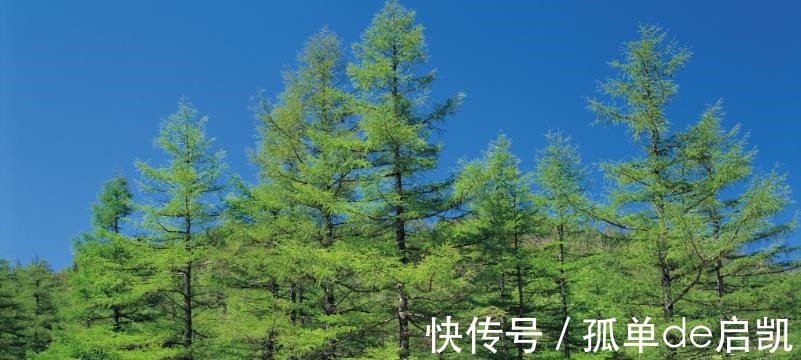 河南省|夏日避暑胜地，河南省十佳山水景区，就在洛阳，门票只要60元